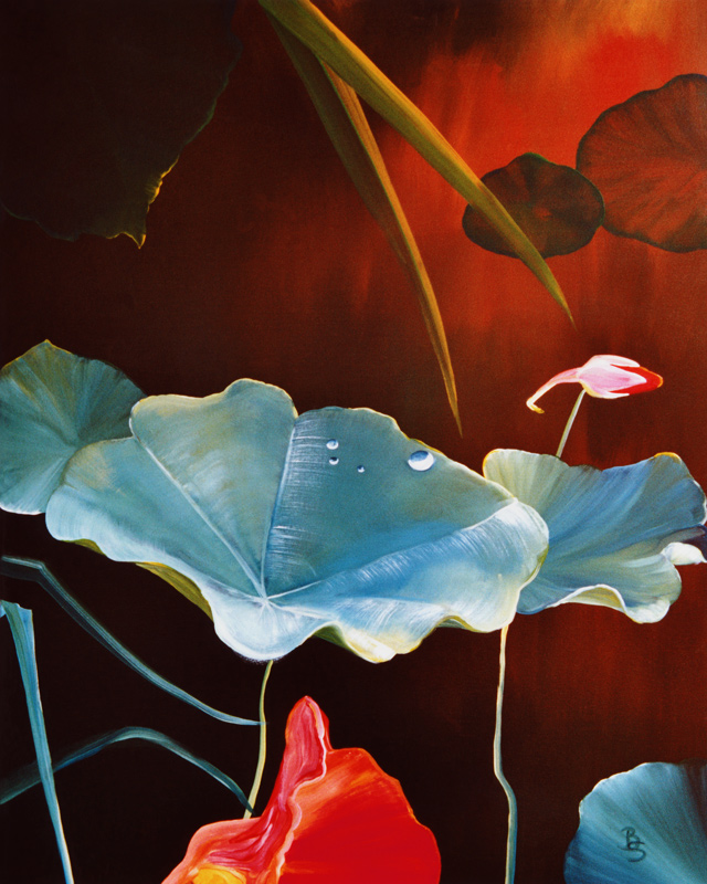 Kapuzinerkresse mit Blüte van Britta Steding