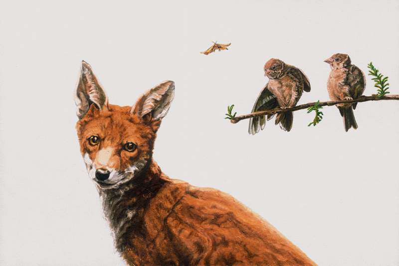 Fox Birds van Maxine R. Cameron