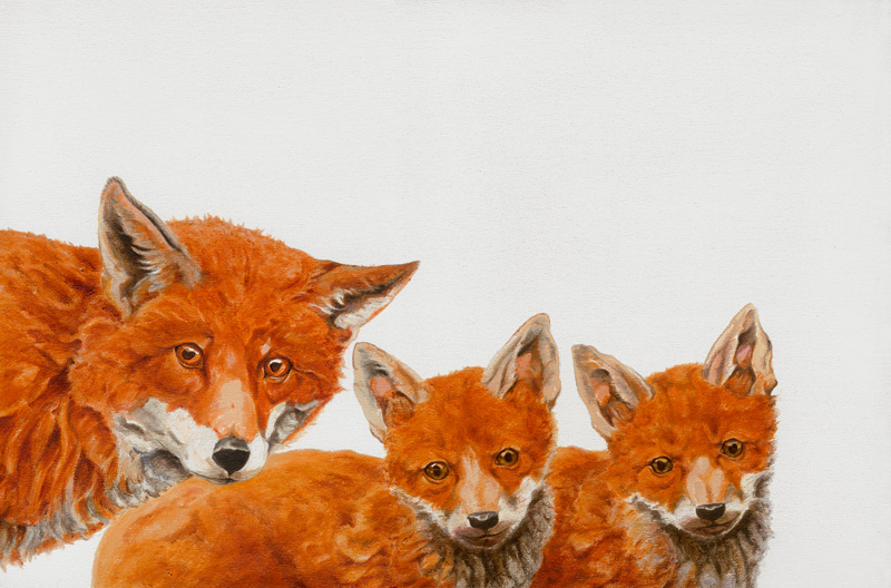 Meet the Foxes van Maxine R. Cameron