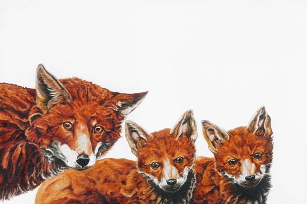 Meet the Foxes 2 van Maxine R. Cameron