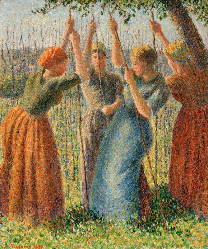 Stangen setzende Bäuerinnen van Camille Pissarro