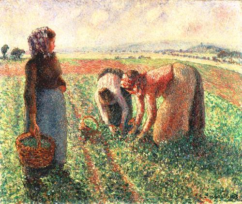 Die Erbsenernte, Eragny van Camille Pissarro