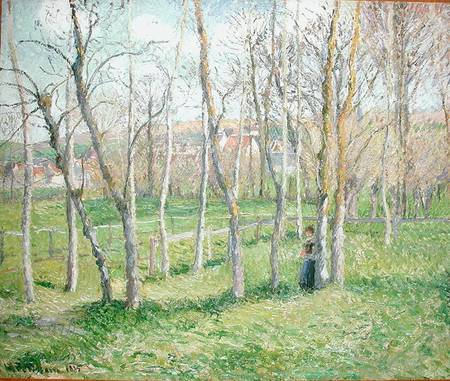 Meadow at Bazincourt van Camille Pissarro