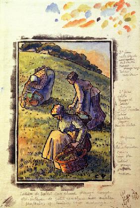 C.Pissarro, Kraeuter suchende Frauen