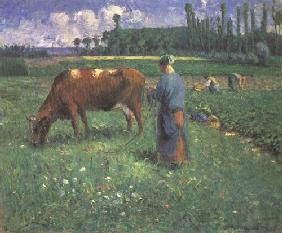 Mädchen mit Kuh auf einer Weide