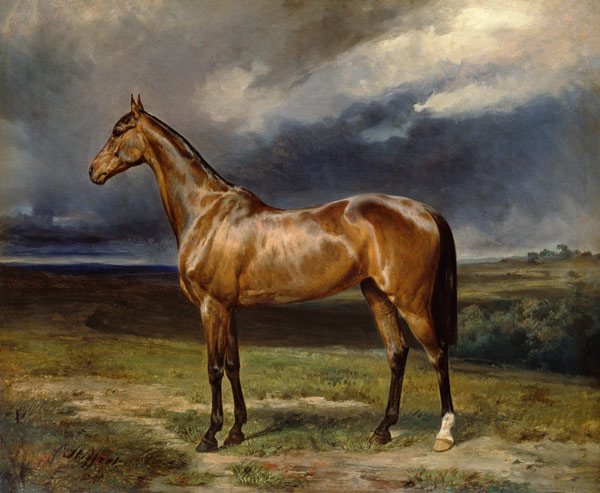 'Abdul Medschid' the chestnut arab horse van Carl Constantin Steffeck