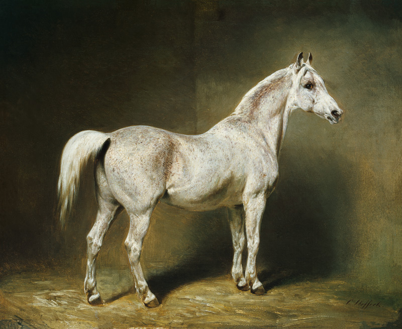'Beatrice', the white arab saddlehorse of Helmuth Graf von Moltke van Carl Constantin Steffeck