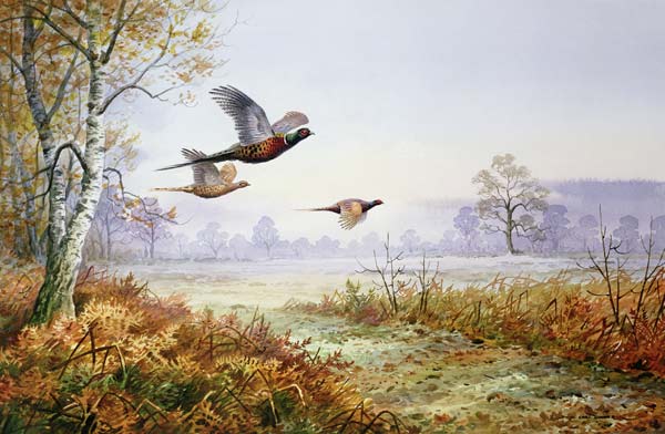 Pheasants in Flight (w/c)  van Carl  Donner