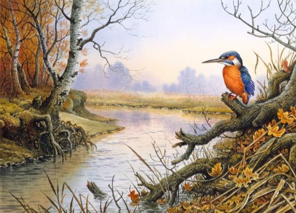Kingfisher: herfstscene bij de rivier  - Carl  Donner