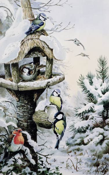 Winter Bird Table with Blue Tits, Great Tits, House Sparrows and a Robin  van Carl  Donner