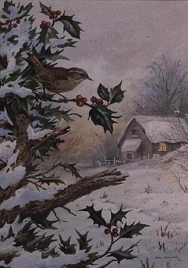 Wren in Hollybush by a cottage  van Carl  Donner