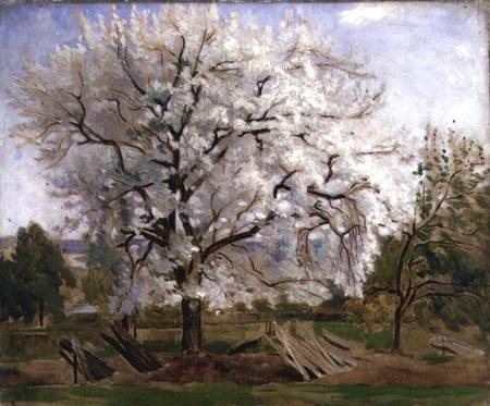 Apple Tree in Blossom van Carl Fredrik Hill