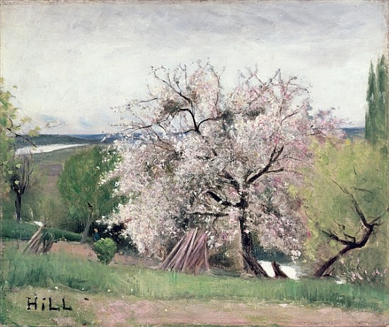 Fruit Tree in Blossom, Bois-le-Roi van Carl Fredrik Hill