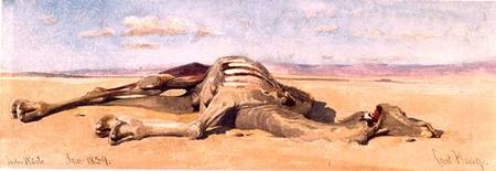 A Dead Camel van Carl Haag