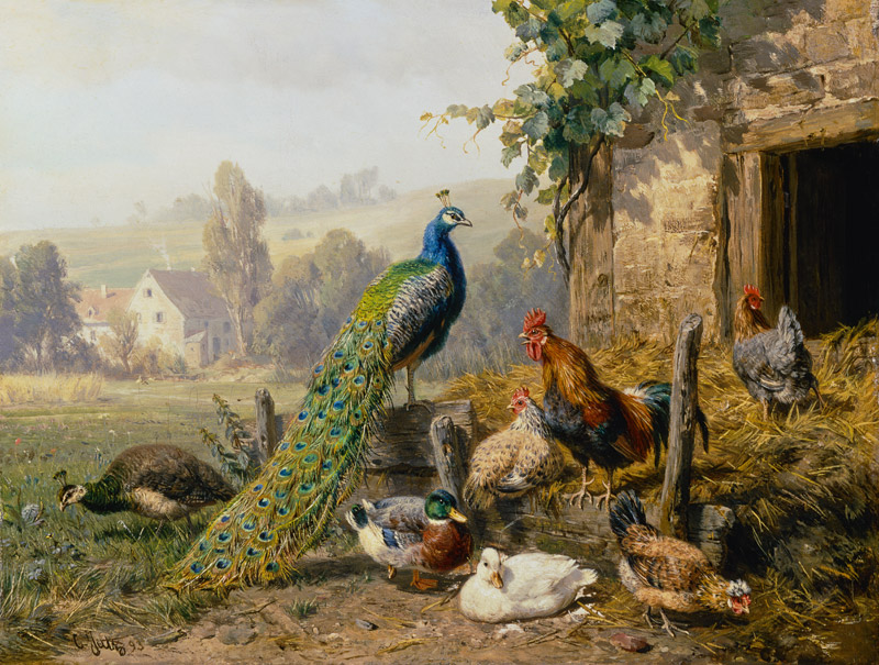 Hühnerhof mit Pfau. van Carl Jutz