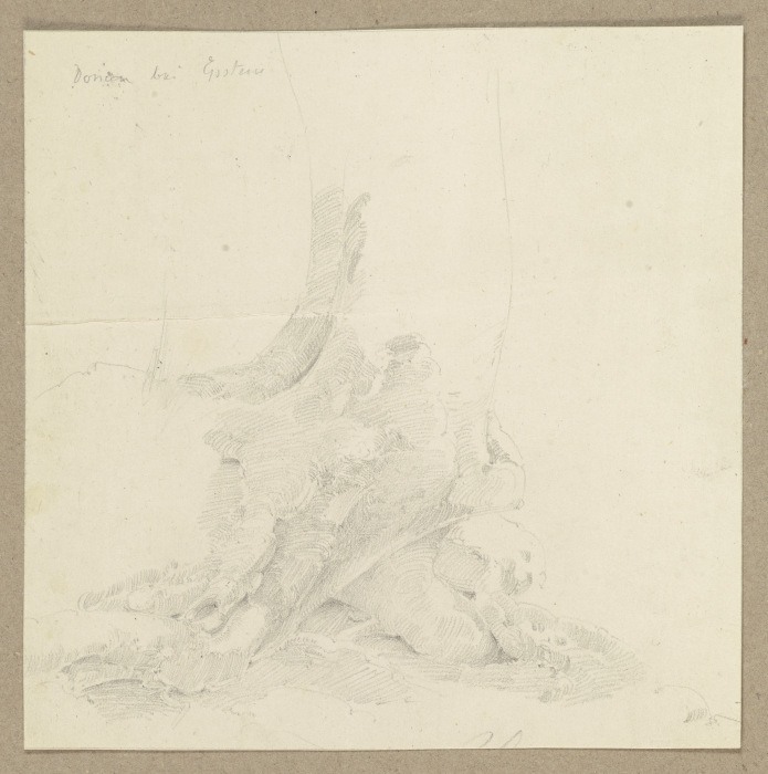 Auf steinigem Grund wachsender Baum van Carl Theodor Reiffenstein