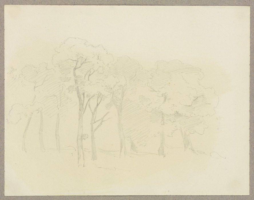 Trees van Carl Theodor Reiffenstein