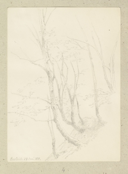 Bäume an einem Steilhang van Carl Theodor Reiffenstein