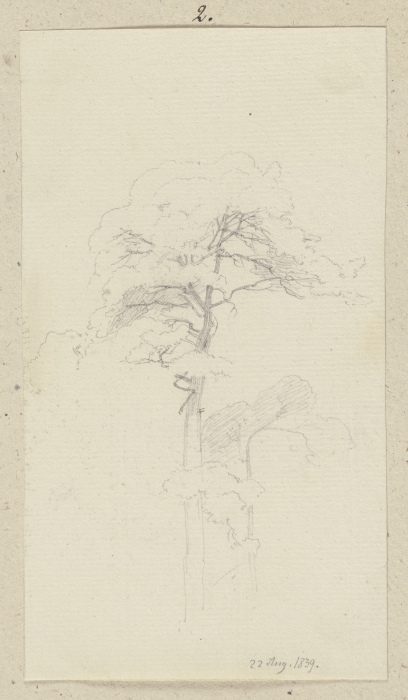 Tree van Carl Theodor Reiffenstein