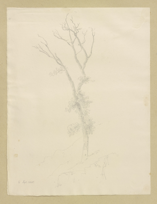 Baum mit abgestorbener Krone van Carl Theodor Reiffenstein