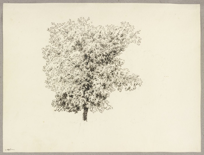 Treetop van Carl Theodor Reiffenstein