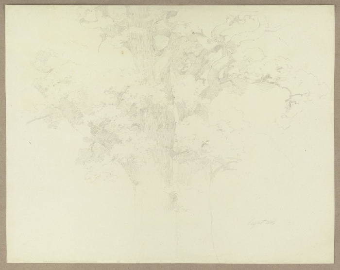 Pair of trees van Carl Theodor Reiffenstein