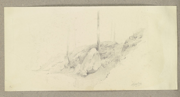 Gesteinsbrocken in einem Waldstück van Carl Theodor Reiffenstein