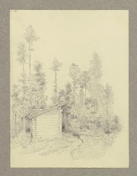 Hut in the forest