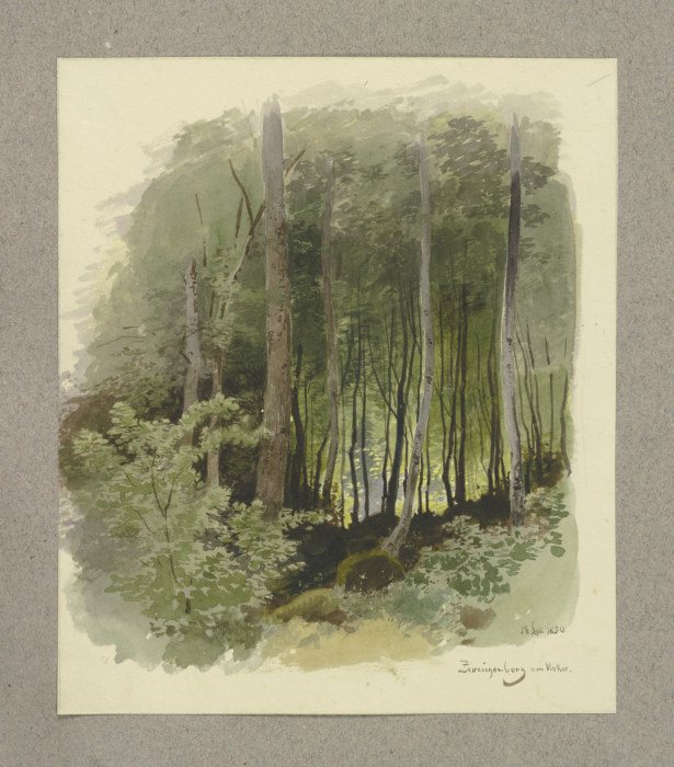Wald bei Zwingenberg am Neckar van Carl Theodor Reiffenstein