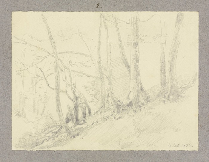 Forest slope van Carl Theodor Reiffenstein