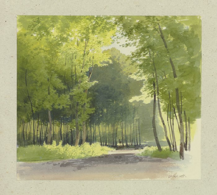 Forest section van Carl Theodor Reiffenstein