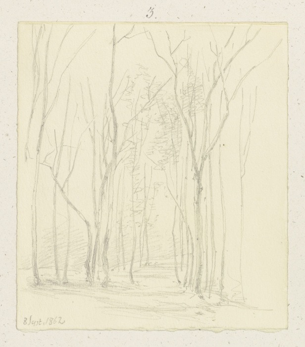 Waldpartie mit kahlen Bäumen van Carl Theodor Reiffenstein