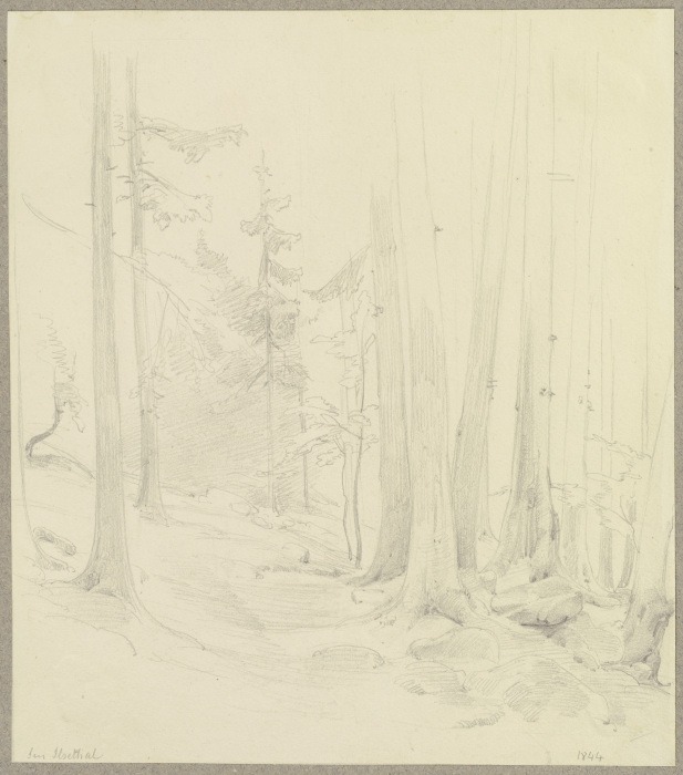 Waldstück im Ilsetal im Harz van Carl Theodor Reiffenstein