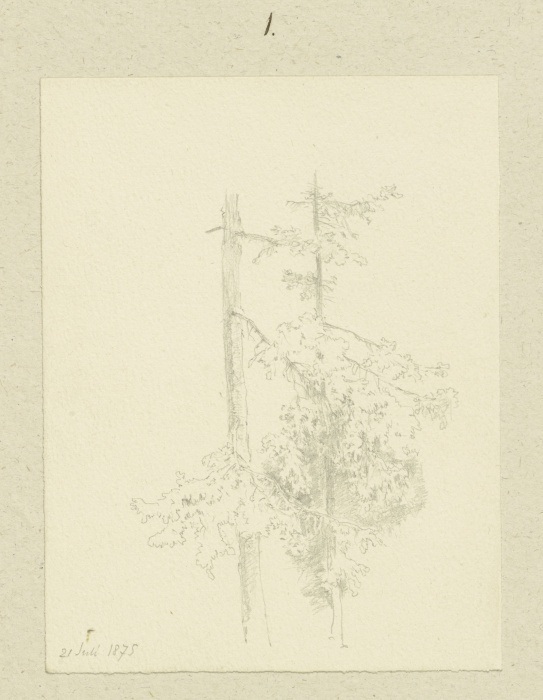 Two conifers van Carl Theodor Reiffenstein