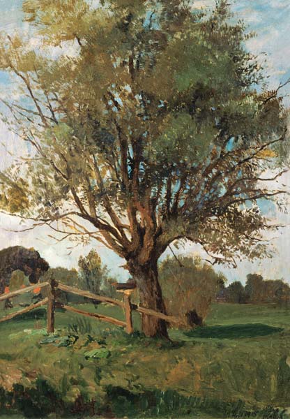 Der alte Baum. van Carl Vinnen