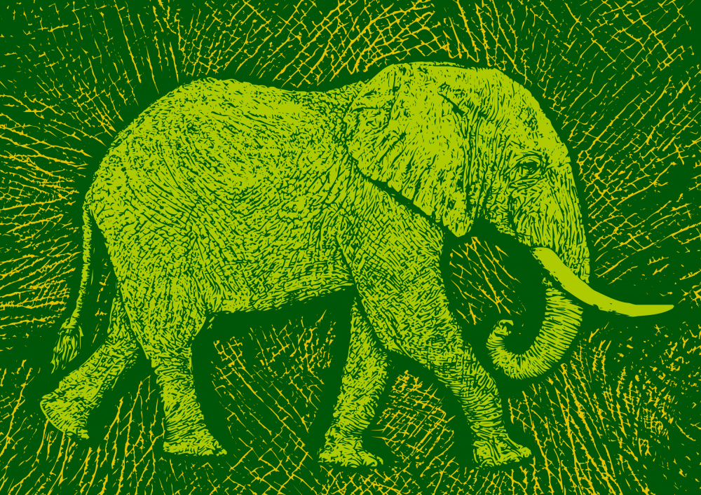 Africa Elephant texture pattern van Carlo Kaminski