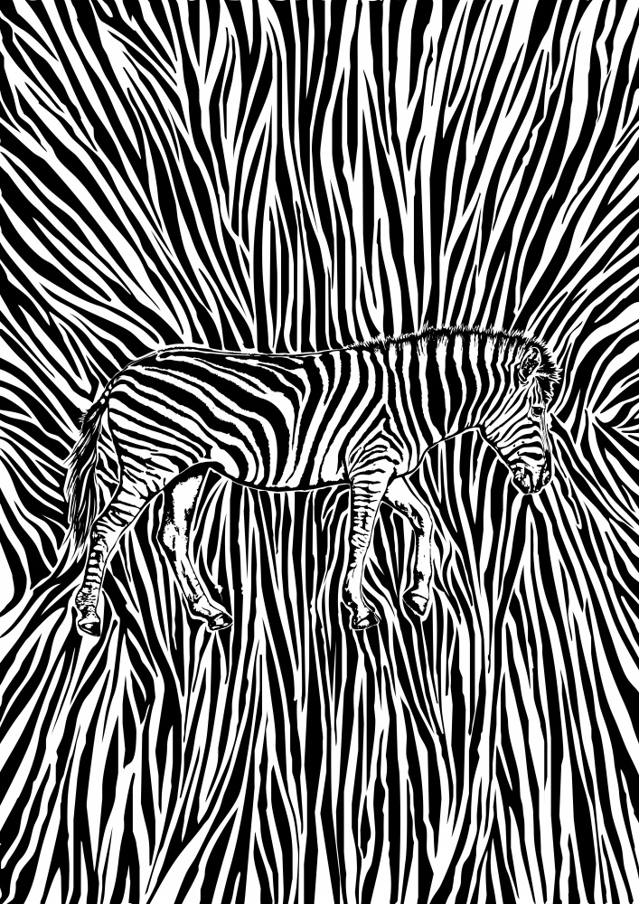 African Zebra striking camouflage van Carlo Kaminski