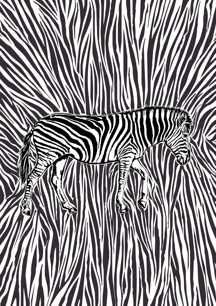 African Zebra striking camouflage van Carlo Kaminski