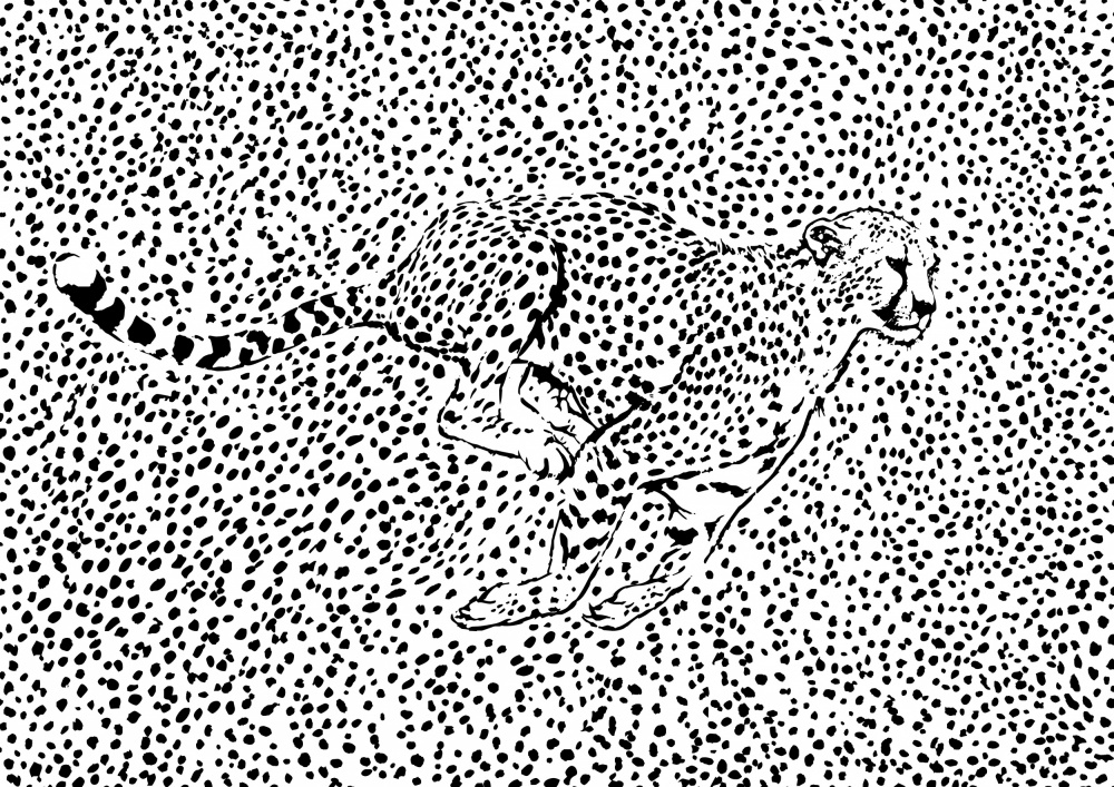 Cheetah Full Sprint van Carlo Kaminski