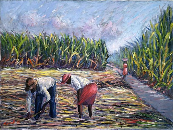 Sugarcane Harvest van  Carlton  Murrell
