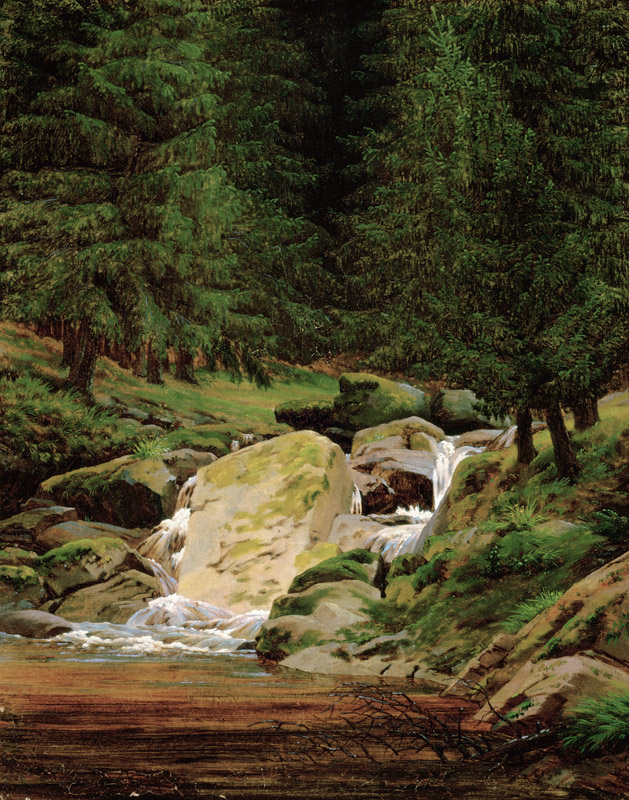 The Evergreens by the Waterfall van Caspar David Friedrich