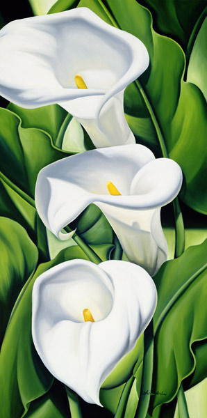 Lilies van Catherine  Abel