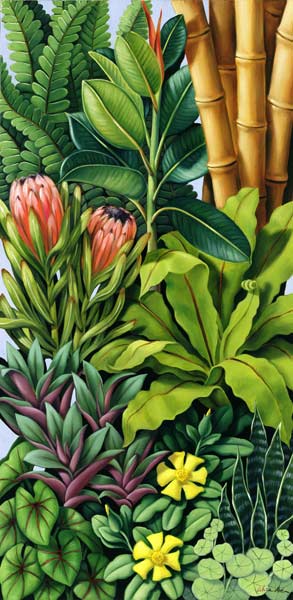 Foliage III, 2005 (oil on canvas)  van Catherine  Abel