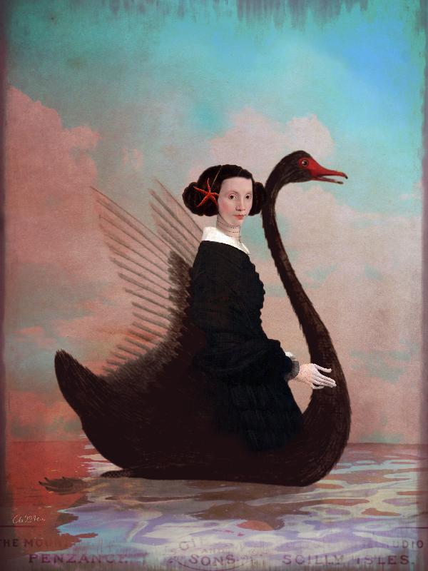 Black Swan van Catrin Welz-Stein