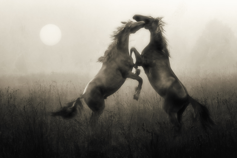 Life is just a simple game... van Charlaine Gerber