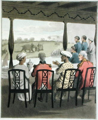 Marquis Wellesley and his Suite, at the Nabob of Oude's Breakfast Table, viewing an elephant fight, van Charles D'Oyly