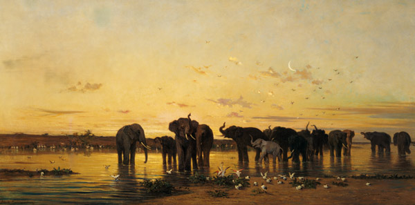 African Elephants van Charles Emile de Tournemine