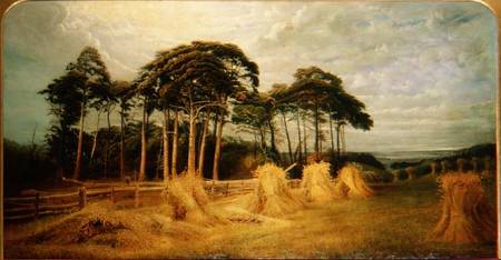 Sheaves of Wheat after the Harvest van Charles Henry Passey