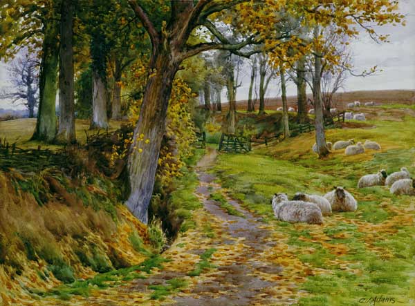An Autumn Afternoon van Charles James Adams
