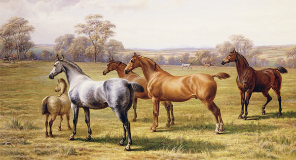 Horses and Foal in a Field van Charles Jones